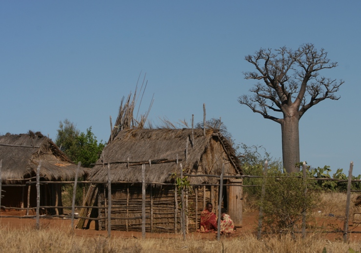 madagascar